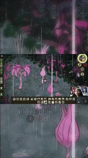 Don't Starve Hamlet - How to escape from BFB (Big Flying Bird) | Nintendo Switch