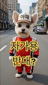 자가용의 반댓말은? 커용~~ 😂 #아재개그 #나빵TV #숏츠#자가용 #커용 #아재개그 #넌센스퀴즈 #강아지개그 #나롱이 #찐빵이 #나빵TV #쇼츠 #웃긴영상 #애견영상 #pets