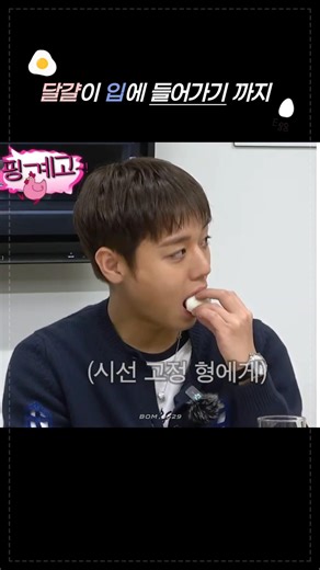 260509 달걀 공정률 5%... #박지훈 #핑계고