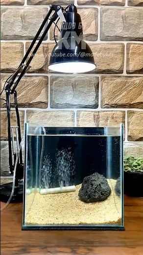 DIY Air Stone for Your Aquarium! 🫧