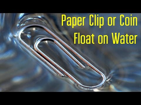 Make a Paper Clip or Coin Float on Water - Cool bar trick