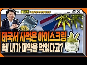 태국서 사먹은 아이스크림 헉! 내가 마약을 먹었다고? #태국 #대마초합법화 #대마아이스크림 [YTN 뉴스FM 슬기로운 라디오생활]