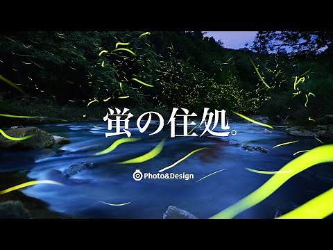 撮影日記／蛍(ホタル)の見つけ方と撮影準備
