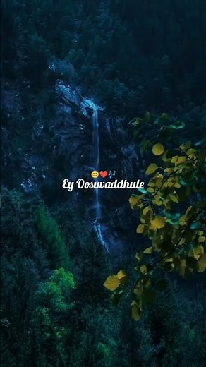 Vellake song lyrics ❣️| Feel the lyrics|Royal lyrics XYZ #music #ytshorts #viralvideo #trending
