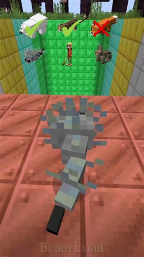 Who Survives the FALL? 💥 | Minecraft #minecraft #gaming #kidscontent