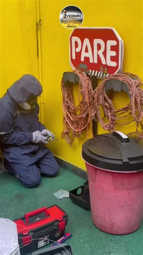 Videos de Vermin control (@vermin_control_ec) con “sonido original - Vermin control”