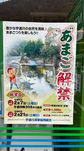 愛知県内水面漁業協同組合連合会 | 宇連川漁業さん、あまご釣り解禁！ 二次放流は2月21日土曜日です。 是非ぜひ、遊漁券を購入してあまご釣りを楽しんでください🎣あまごの塩焼き、最高です👍 #あまご釣り解禁 #釣り情報 #宇連川漁業 | Instagram