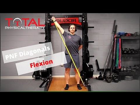 Shoulder PNF D1 D2 Flexion