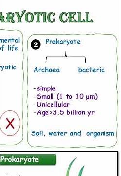 Prokaryotic Cells: Structure, Function, and Examples | Biology Lesson # shorts #biochemistry