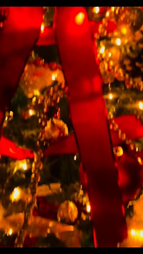 🎄✨ Shots on Rocks is getting festive! The lights are going up, the cocktails are turning holiday-ready, and the vibes are about to get merry. Planning your Christmas party? 👀🎁 Drop us a message to lock in your date! | Shots On Rocks