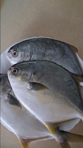 银鲳是一种营养价值高的海鲜，含有丰富的优质蛋白质、不饱和脂肪酸（如DHA和EPA）、矿物质（钙、磷、硒、镁）和维生素。这些营养成分有助于强健骨骼，促进大脑发育，降低胆固醇，预防心血管疾病和延缓衰老。同