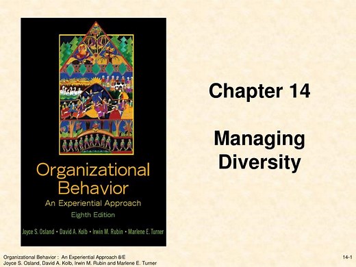 Chapter 14 Managing Diversity - SlideServe
