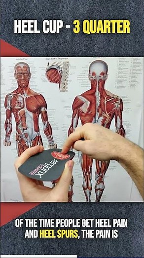 Unlock Comfort: Discover the Magic of Heel Cups in Orthotic Insoles #HeelCup #OrthoticInsoles