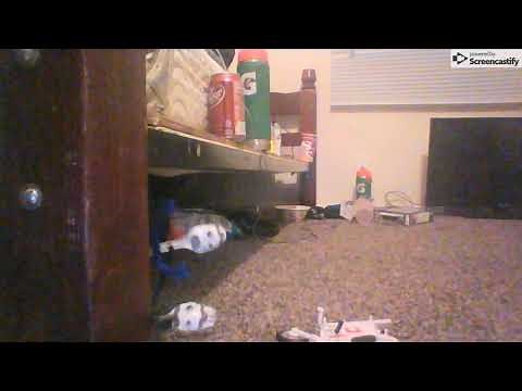 The stikbot movie official trailer