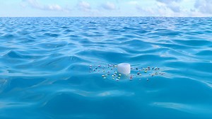 202 reactions · 55 shares | We just finished a major production run and our popular Eco Water Urn is back in stock & ready to ship! Learn more at: https://www.thelivingurn.com/products/eco-water-urn | The Living Urn | Facebook