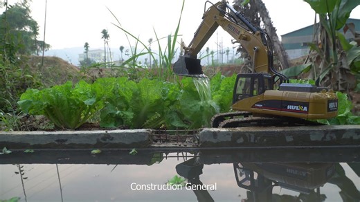 Make A Beautiful Little Vegetable Garden With An Excavator