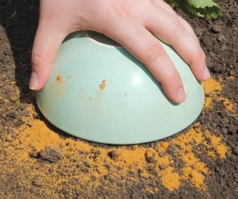 3.4M views · 15K reactions | Safe & smart! Natural pest control hacks you need! | 5-Minute Crafts | Facebook