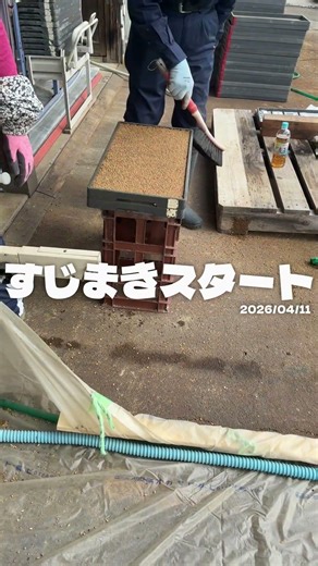 本日すじまきしてます！ #現代農業 #すじまき #農業 #農家 #米農家 #コシヒカリ #農作業