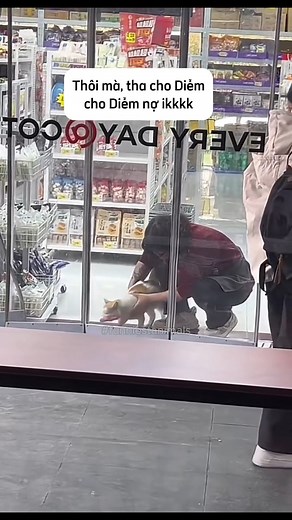 709K views · 10K reactions | #FunniestAnimals | Funniest Animals | Facebook