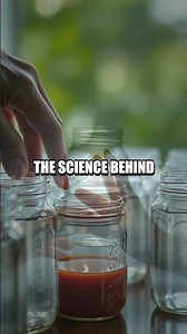 Tiny Tuning and Light Tricks A Home Science Mini Lab