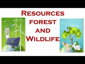Resources, Forest and Wild life l Natural resources l conservation of resources l types of forest