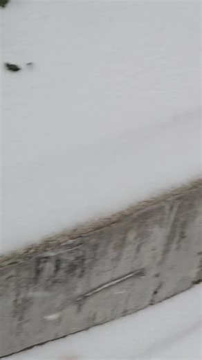 5.8K views · 65 reactions | It's going to be a long day!! | Kenny Johnson | Facebook