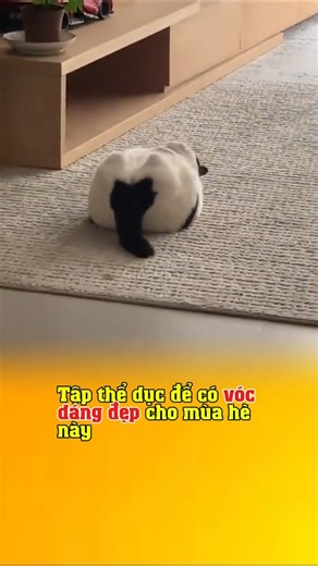 Tập thể dục Đón Hè #gio_dong_lao #giodonglao @gio_dong_lao #hai