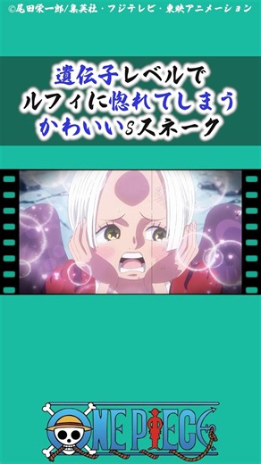 遺伝子レベルでルフィに惚れてしまうSスネーク #onepiece #ワンピース #アニメ #漫画 #雑学