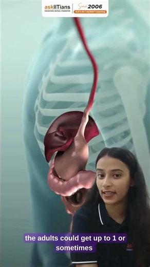 How Competitive Eaters Fit 6 Liters of Food in Their Stomach! 😱 | Human Body Facts #askiitians