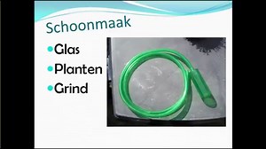 PowerPoint Spreekbeurt | AlleSpreekbeurten.nl