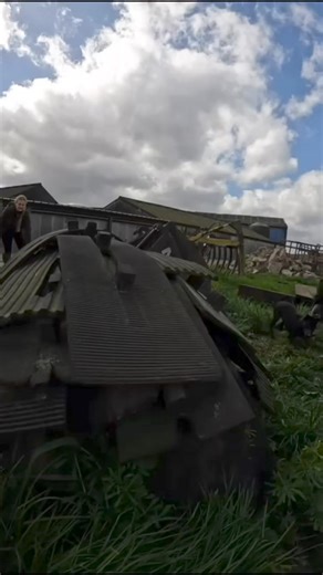 24K views · 464 reactions | Some carnage is good…. When there’s no dogs available the best option is a whacking stick! #viralpostfb #yorkshireratpack #viralreelsfb #gameshootinguk #pestcontrolexperts #lakelandterrier #hunting #gamekeepers #ratinfestation #famous #RattingTerrier #terriers #Hunter #Hunt #pestcontrol | Yorkshire Rat Pack | Facebook