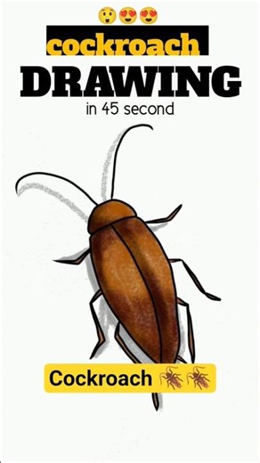 Cockroach Drawing 🪳 | इतना Realistic कि डर लग जाए! 😱#cockroachdrawing #drawingart #shorts