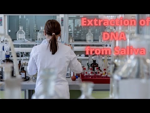 Want to see your own DNA? | Extraction of DNA from Saliva | DIY Science Experiment | Biotechnology