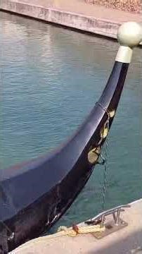 I Found a 2 AMAZING YELLOW FIN SURGEON Fish Living in Durban's Canals !