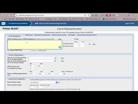 SYBR Green Primer Design for qPCR