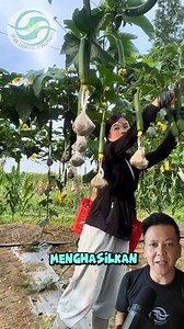 Agriculture #invention #farming #gardening | The plantskeeper