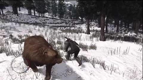 Red Dead Redemption - Knife fight with a Bear