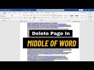 How to Delete a Page in Middle of Word [2 STEPS]