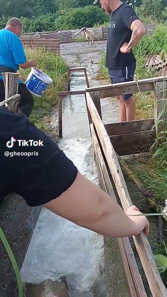 Woolly Sheep Herding and Outdoor Cooking Techniques