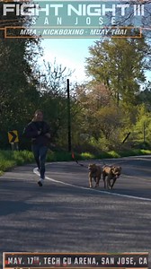 6.9K views · 82 reactions | Go BTS Cris Cyborg Boxing training camp with Team Benavidez exclusively with OnlyFans and OFTV | Cris Cyborg Justino | Facebook