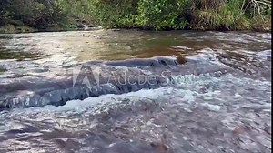 beautiful waterfall in green forest in jungle, waterfall texture, Beautiful waterfall, Scenic view of waterfall, the misty waterdrops rising from a powerful rapid water stream cascading over the cliff