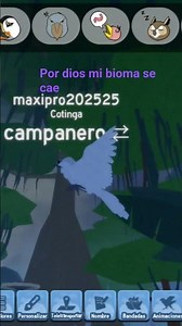 eso paso a feather family