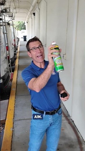 GOT A WASP NEST? Get rid of it with these simple steps.