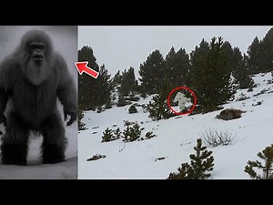 Mystery of the Yeti SOLVED! | Were They Real Animals?