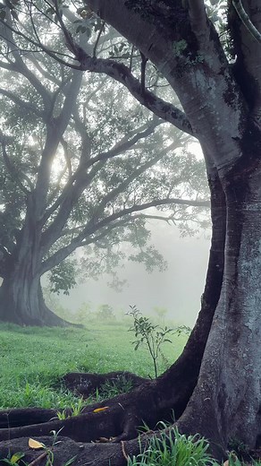 7 seconds to inhale and exhale…🍃✨🌸