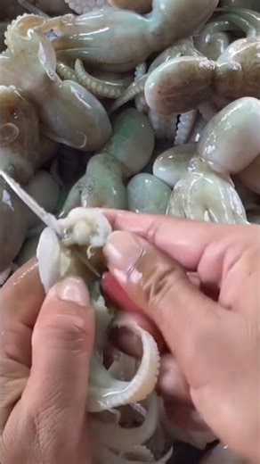 Cleaning octopus waste easily—simple steps, quick process, and a cleaner result #viralshort #popular