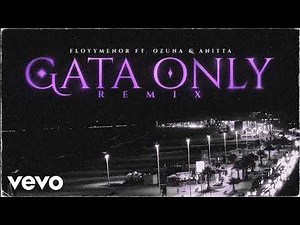 GATA ONLY (remix-slowed reverd) floyymenor,cris MJ, anitta,Ozuna(editz slowd reverd)