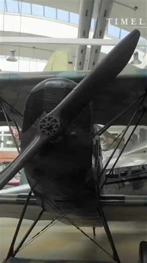 11K views · 124 reactions | WWI Aerial Combat: The Fokker D.VII's Deadly Edge | Timeline - World History | Facebook