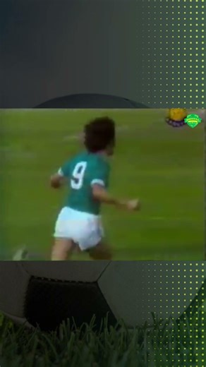 Palmeiras vs Botafogo - Brazilian Championship