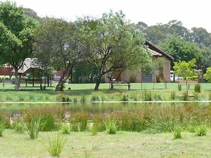 Rand Aid, Ron Smith Frail Care Johannesburg